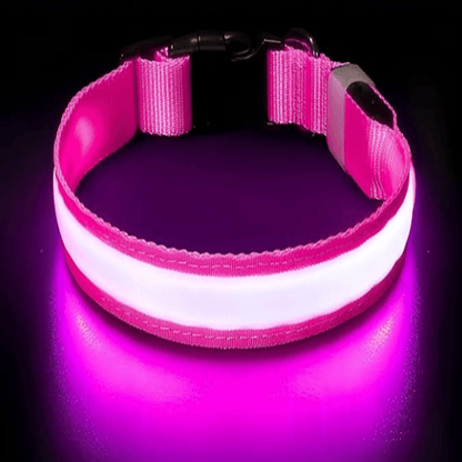 Furrzi™ LED Dog Collar