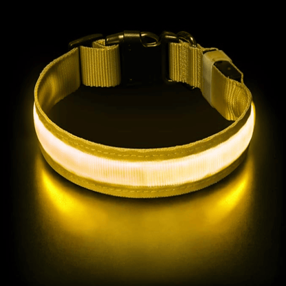 Furrzi™ LED Dog Collar